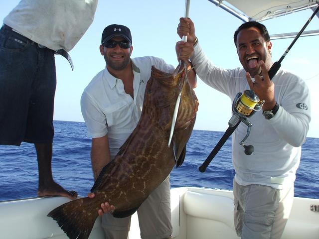 Dominican 50 Lbs Grouper